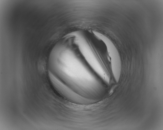 X0000074020035200609181912