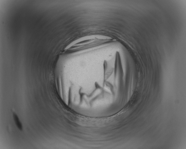 X0000074020048200609181912