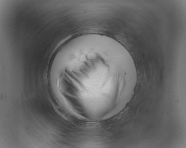 X0000074020050200609181911