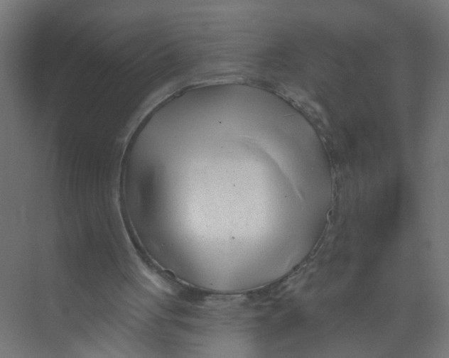 X0000074020051200609181911
