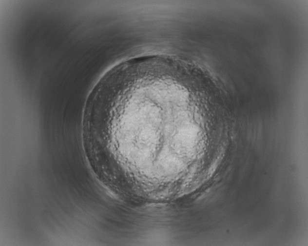 X0000074020052200609181911