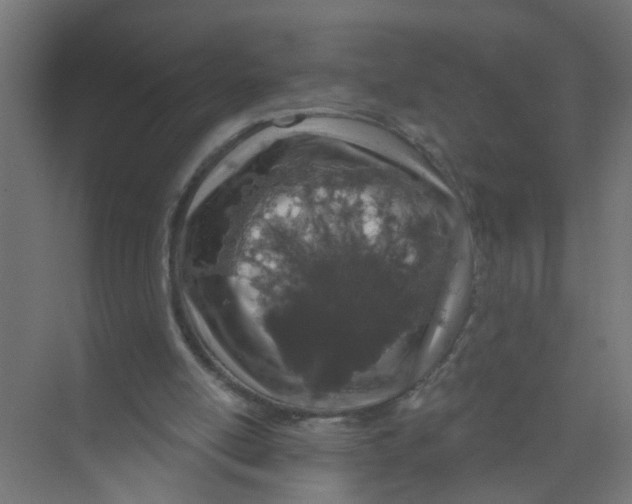 X0000074020054200609181911