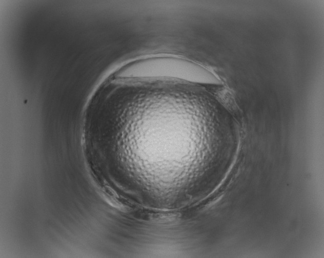 X0000074020056200609181911