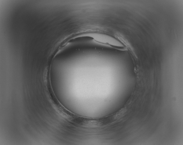 X0000074020058200609181911