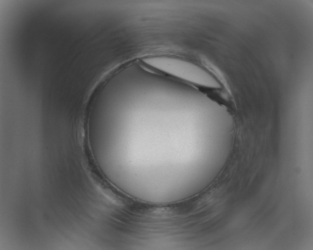X0000074020059200609181911