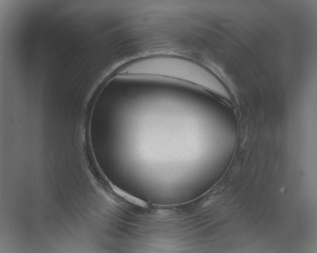 X0000074020060200609181911