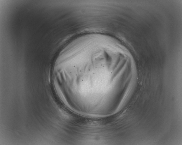 X0000074020062200609181911