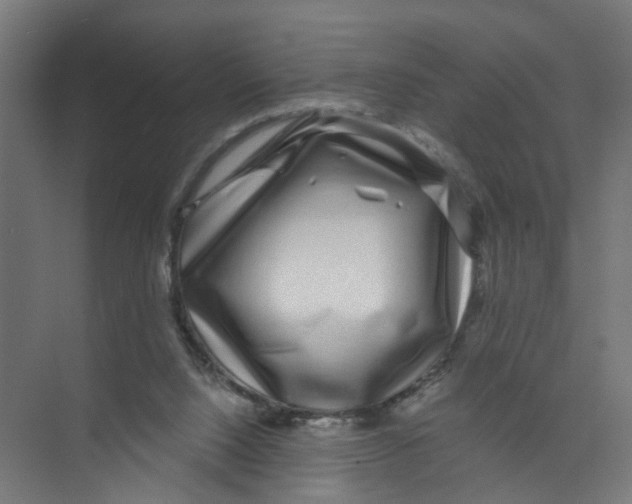 X0000074020064200609181911