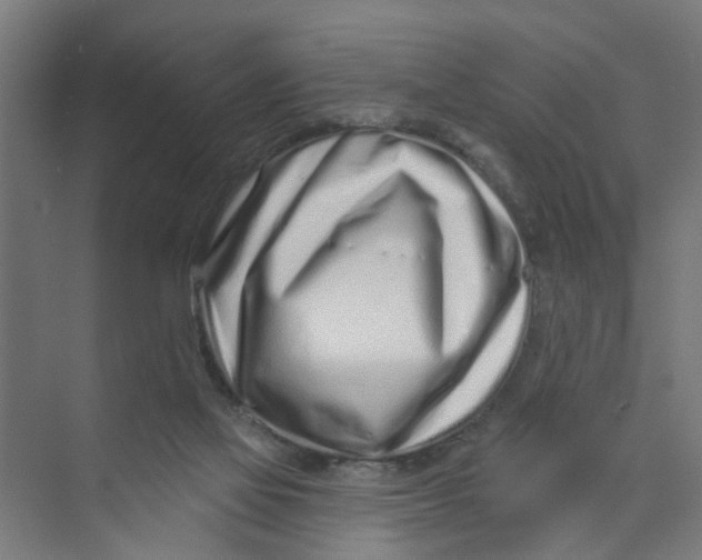 X0000074020069200609181911
