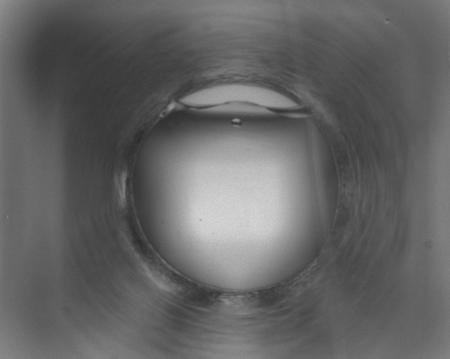 X0000074020070200609181911