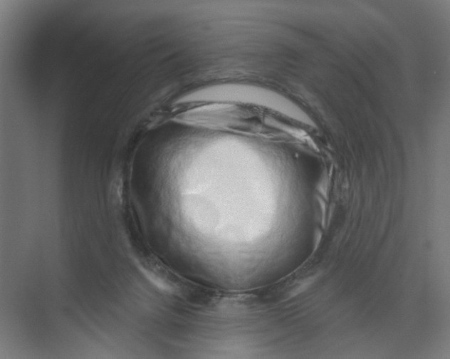 X0000074020072200609181911
