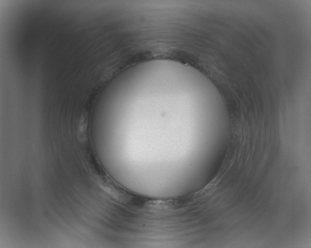X0000074020082200609181912