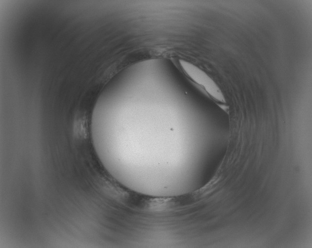 X0000074020090200609181912