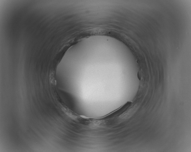 X0000074020096200609181912