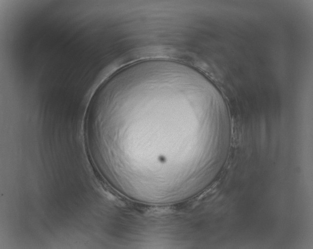 X0000074020099200609181911