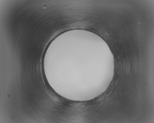 X0000074020100200609181911