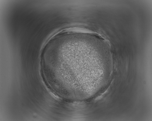 X0000074020101200609181911
