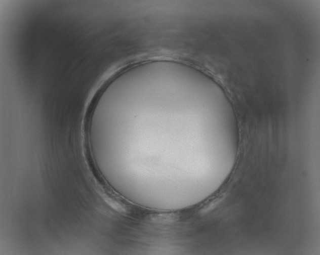 X0000074020102200609181911