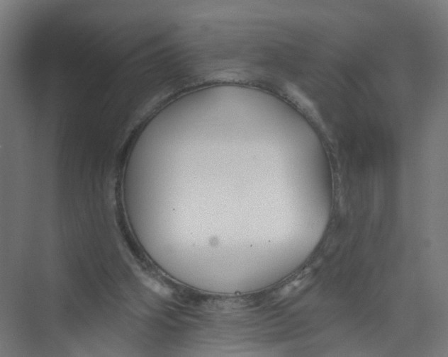 X0000074020106200609181911