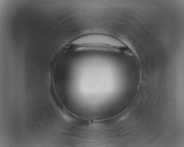 X0000074020109200609181911