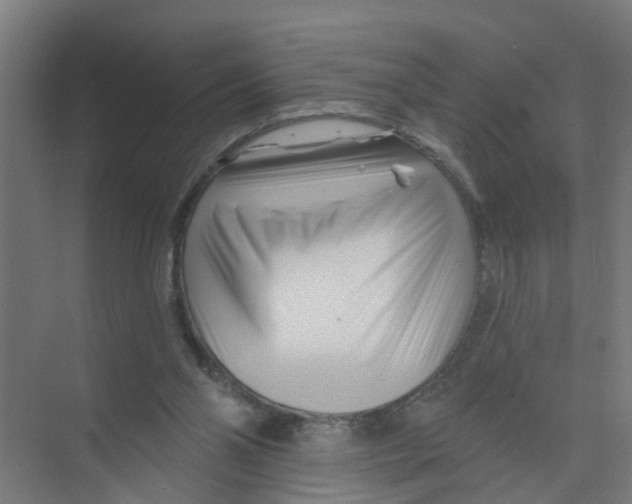 X0000074020110200609181911