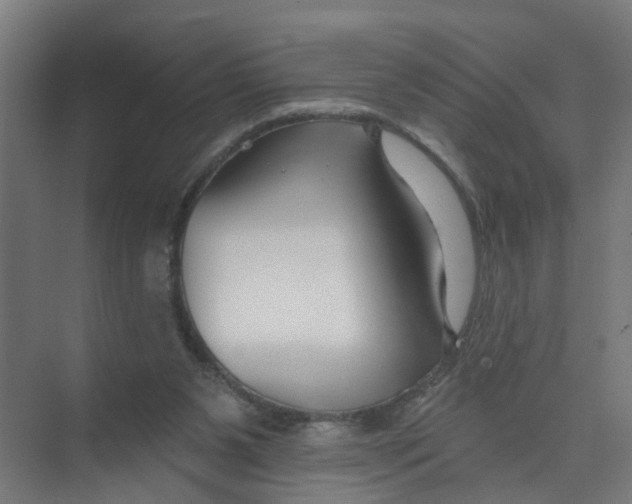 X0000074020111200609181911