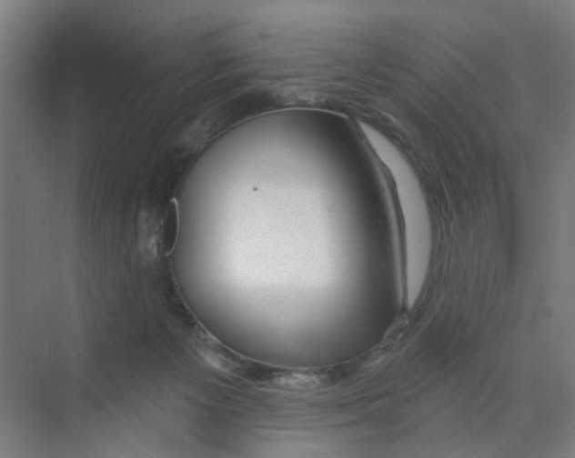 X0000074020125200609181911