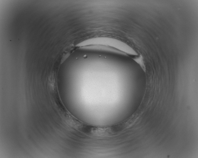 X0000074020129200609181910