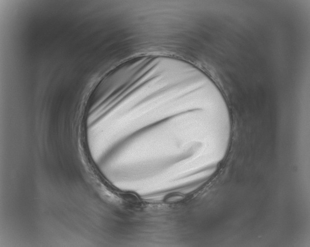 X0000074020145200609181909