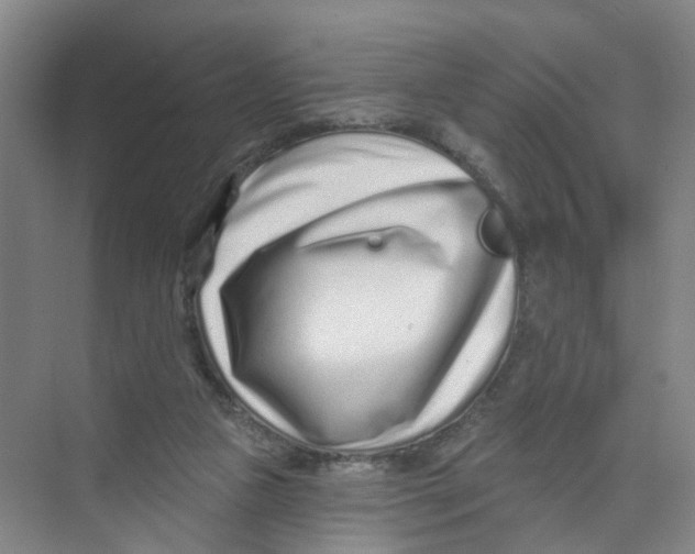 X0000074020161200609181910