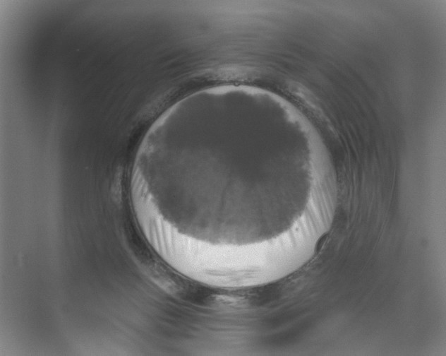 X0000074020167200609181910