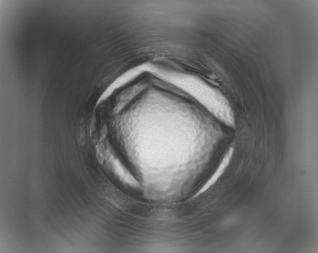 X0000074020169200609181910