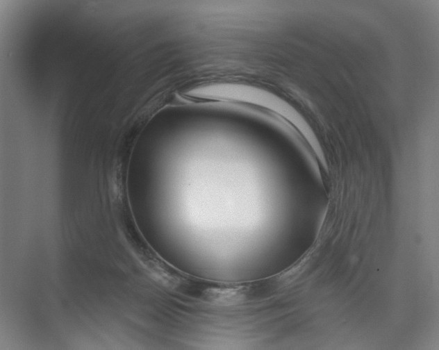 X0000074020170200609181910