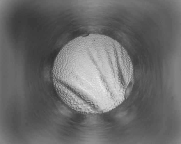 X0000074020185200609181910