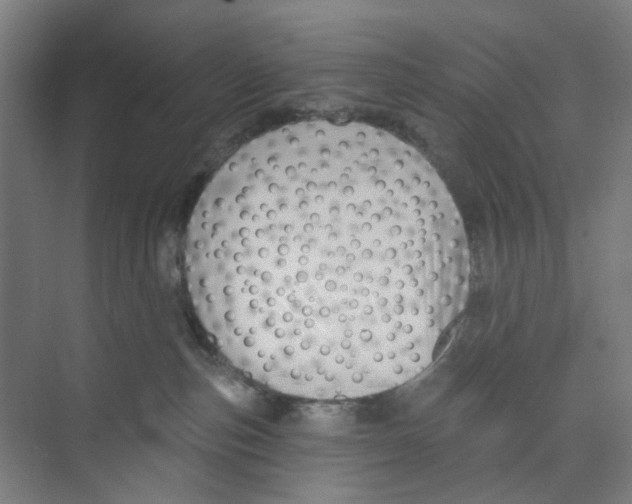 X0000074020187200609181910