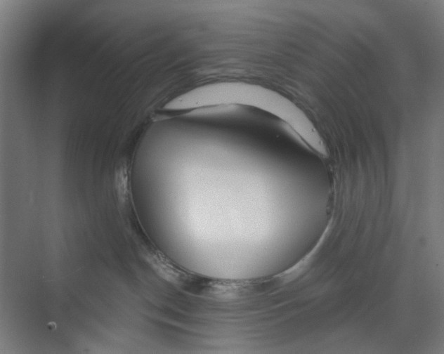 X0000074020190200609181910