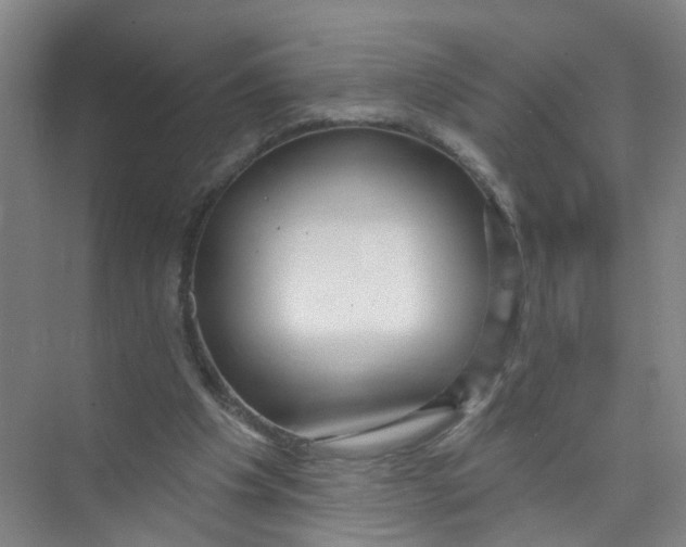 X0000074020201200609181909