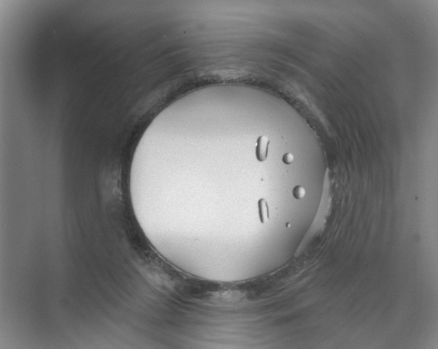 X0000074020212200609181909