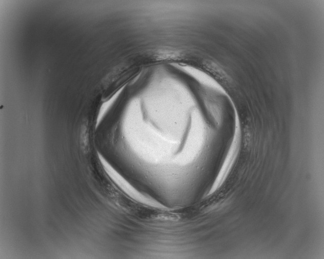 X0000074020215200609181909