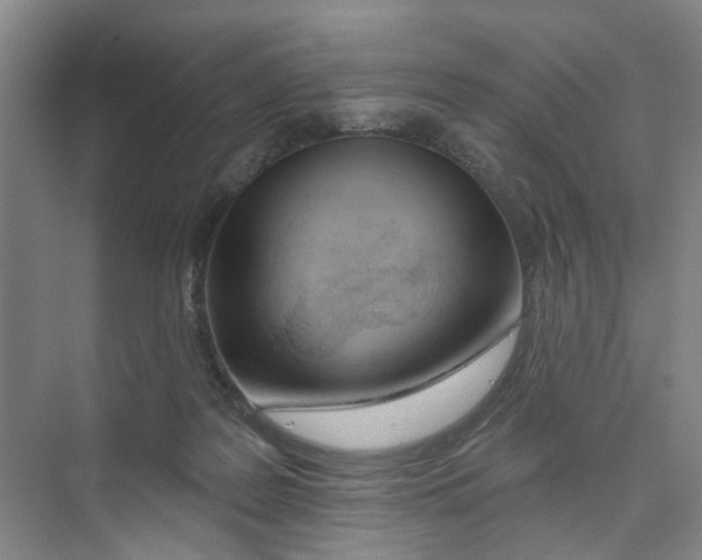 X0000074020219200609181909