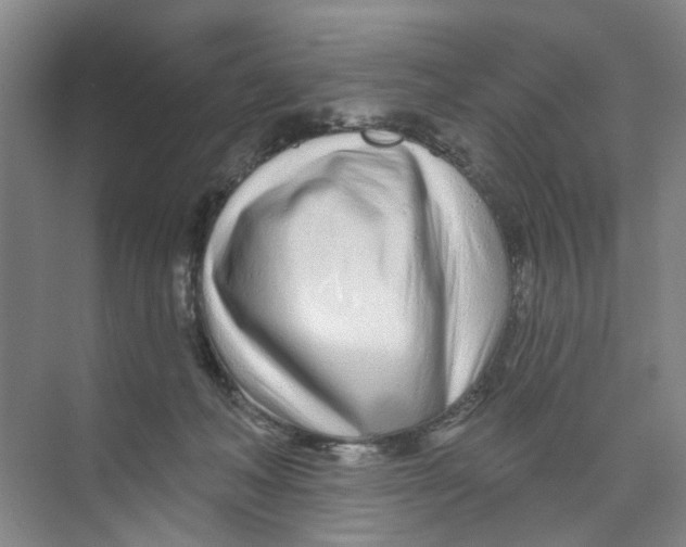 X0000074020222200609181909