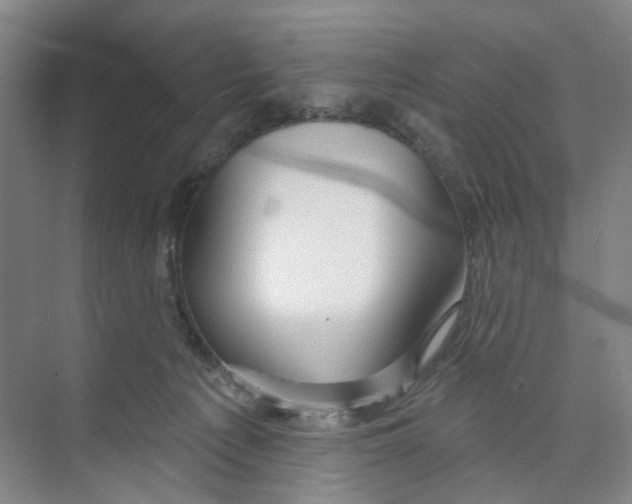 X0000074020225200609181909