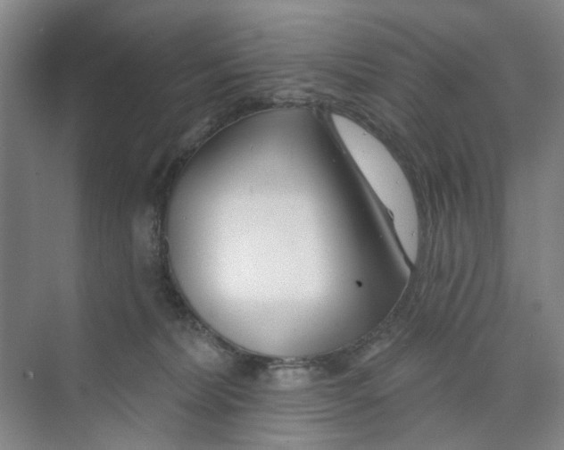 X0000074020228200609181909