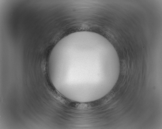 X0000074020230200609181909