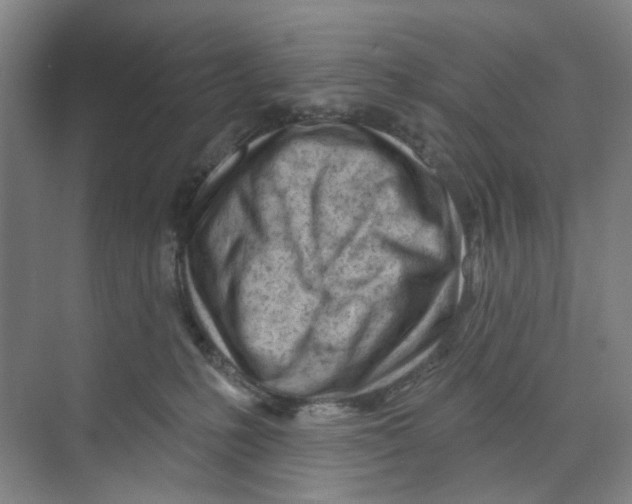 X0000074020231200609181909