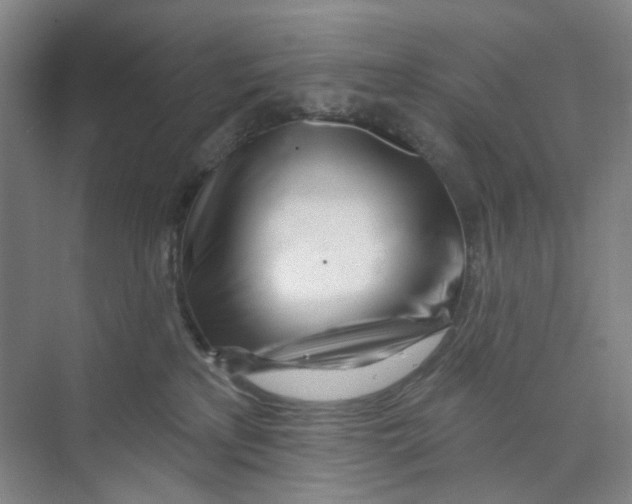X0000074020233200609181909