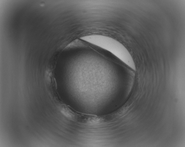 X0000074020235200609181909