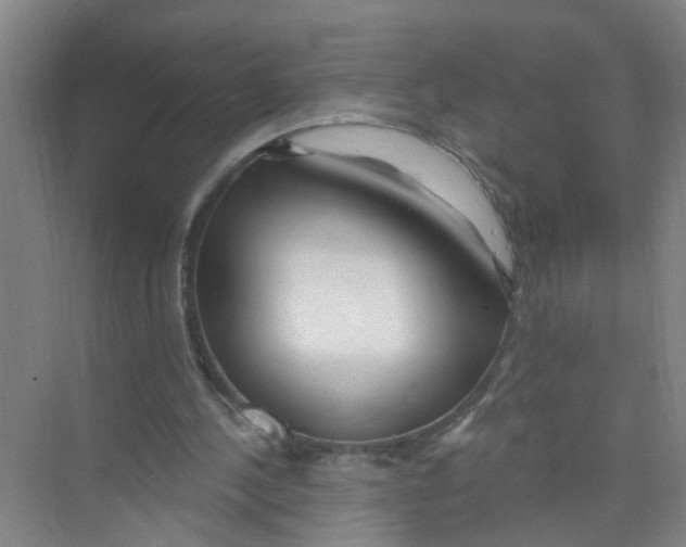 X0000074020244200609181908