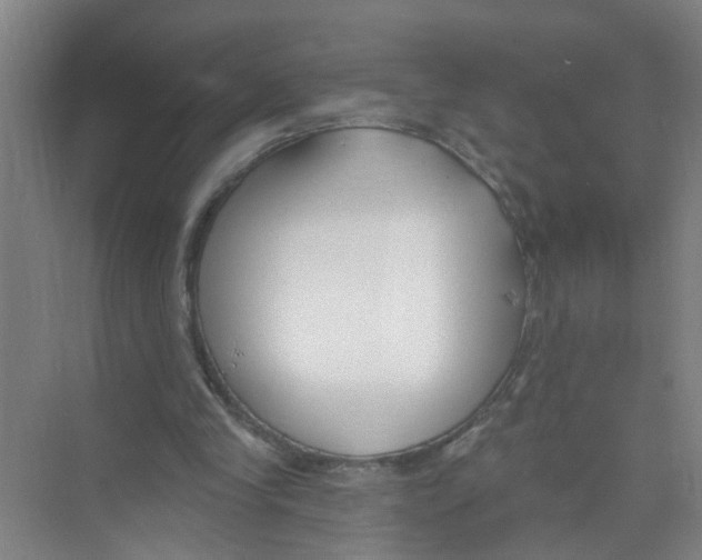 X0000074020245200609181908