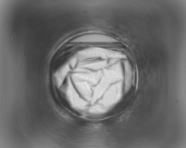 X0000074020247200609181908